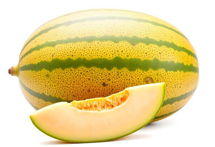 The Sweetness of Ripe Melon